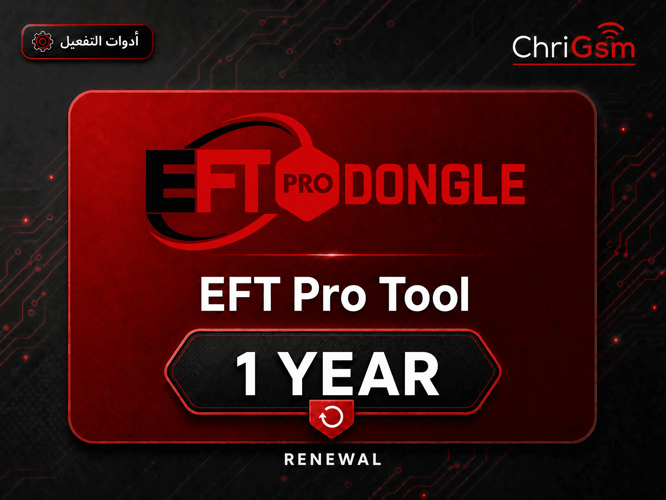 صورة EFT Pro Tool — تجديد سنة